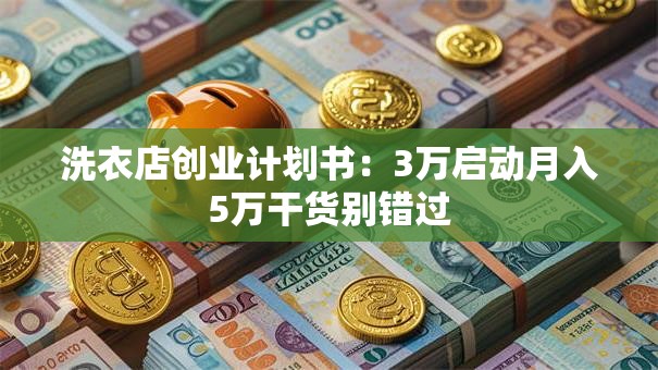 洗衣店创业计划书：3万启动月入5万干货别错过