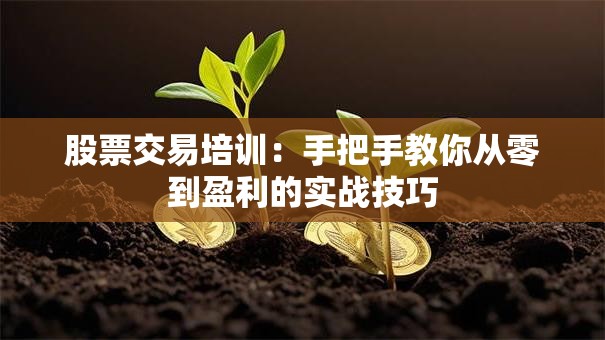 股票交易培训：手把手教你从零到盈利的实战技巧