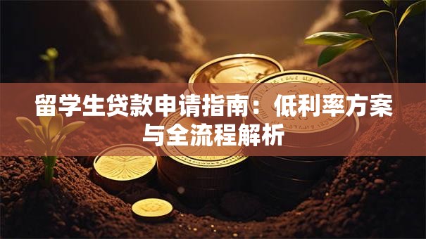 留学生贷款申请指南：低利率方案与全流程解析