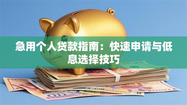 急用个人贷款指南：快速申请与低息选择技巧