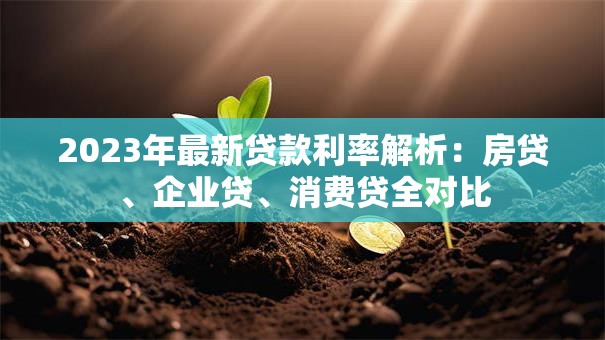 2023年最新贷款利率解析：房贷、企业贷、消费贷全对比