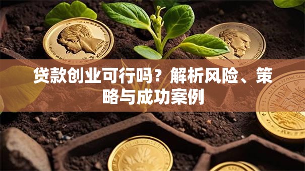 贷款创业可行吗？解析风险、策略与成功案例