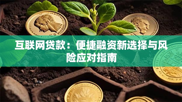 互联网贷款：便捷融资新选择与风险应对指南