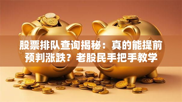 股票排队查询揭秘：真的能提前预判涨跌？老股民手把手教学