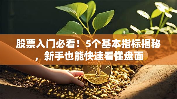 股票入门必看！5个基本指标揭秘，新手也能快速看懂盘面