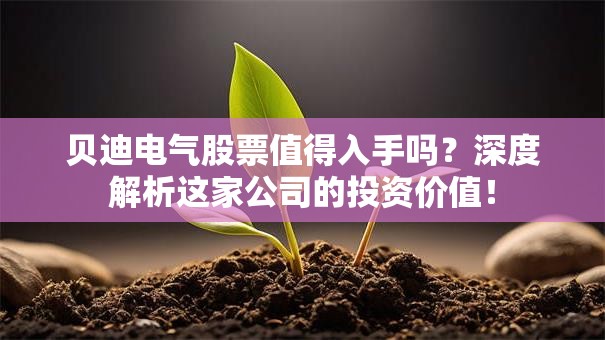 贝迪电气股票值得入手吗？深度解析这家公司的投资价值！