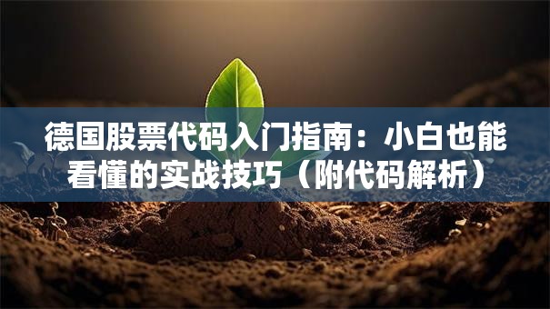 德国股票代码入门指南：小白也能看懂的实战技巧（附代码解析）