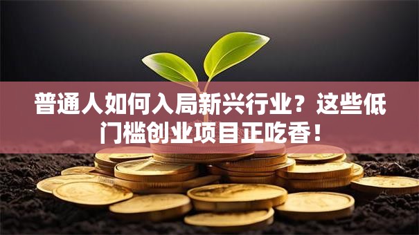 普通人如何入局新兴行业？这些低门槛创业项目正吃香！