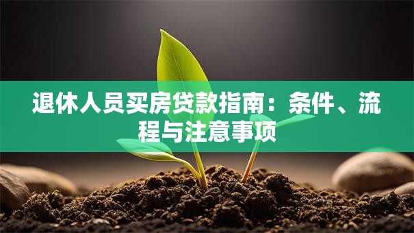 退休人员买房贷款指南：条件、流程与注意事项
