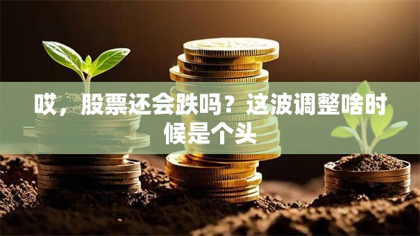 哎，股票还会跌吗？这波调整啥时候是个头