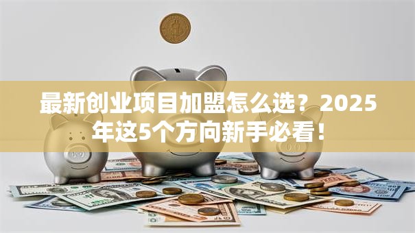 最新创业项目加盟怎么选？2025年这5个方向新手必看！