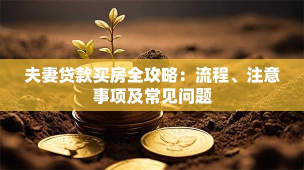 夫妻贷款买房全攻略：流程、注意事项及常见问题