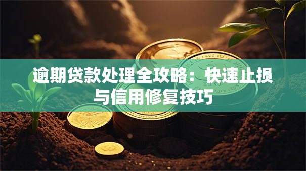 逾期贷款处理全攻略：快速止损与信用修复技巧
