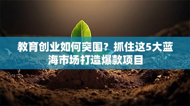 教育创业如何突围？抓住这5大蓝海市场打造爆款项目