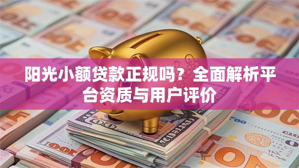 阳光小额贷款正规吗？全面解析平台资质与用户评价