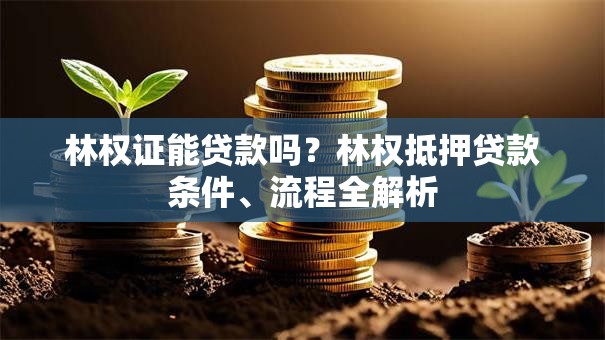 林权证能贷款吗？林权抵押贷款条件、流程全解析