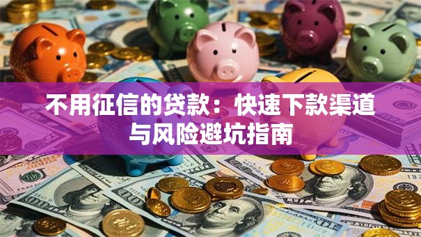 不用征信的贷款：快速下款渠道与风险避坑指南