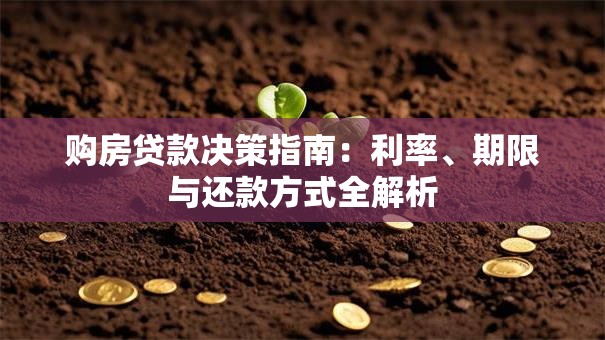 购房贷款决策指南：利率、期限与还款方式全解析