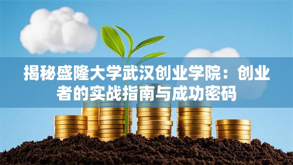 揭秘盛隆大学武汉创业学院：创业者的实战指南与成功密码