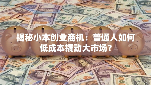 揭秘小本创业商机：普通人如何低成本撬动大市场？