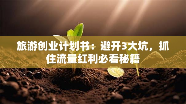 旅游创业计划书：避开3大坑，抓住流量红利必看秘籍