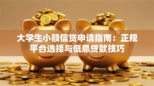 大学生小额信贷申请指南：正规平台选择与低息贷款技巧