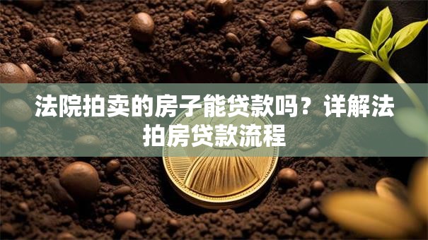法院拍卖的房子能贷款吗？详解法拍房贷款流程