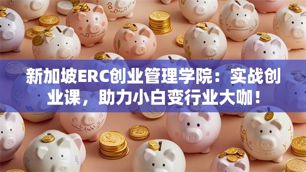 新加坡ERC创业管理学院：实战创业课，助力小白变行业大咖！