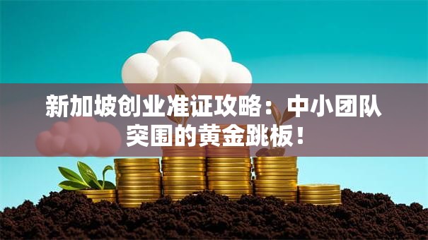 新加坡创业准证攻略：中小团队突围的黄金跳板！