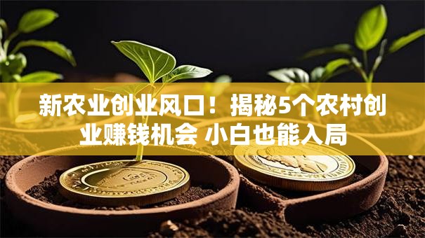 新农业创业风口！揭秘5个农村创业赚钱机会 小白也能入局