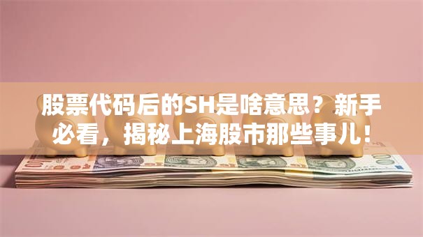 股票代码后的SH是啥意思？新手必看，揭秘上海股市那些事儿！