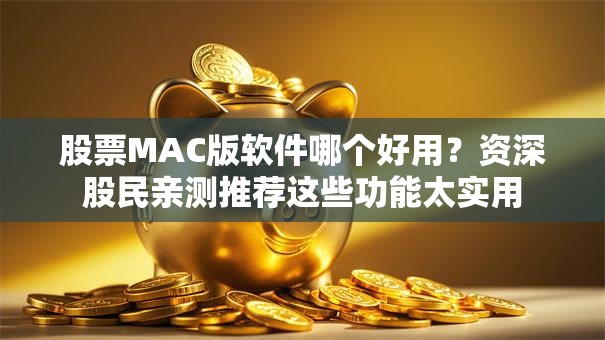 股票MAC版软件哪个好用？资深股民亲测推荐这些功能太实用