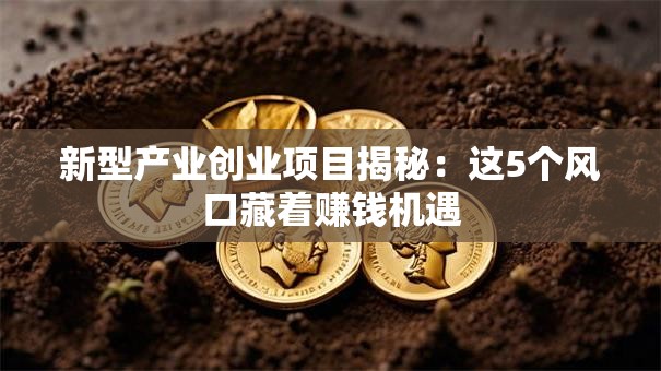 新型产业创业项目揭秘：这5个风口藏着赚钱机遇