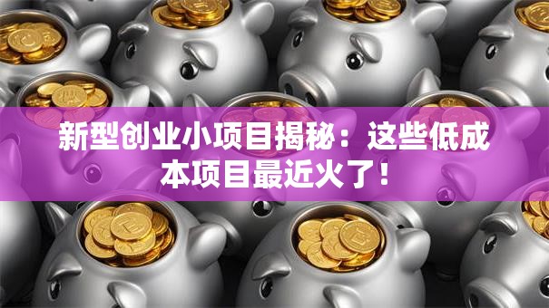 新型创业小项目揭秘：这些低成本项目最近火了！
