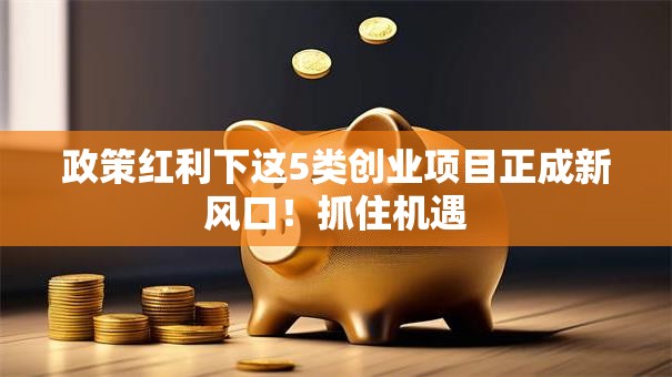 政策红利下这5类创业项目正成新风口！抓住机遇