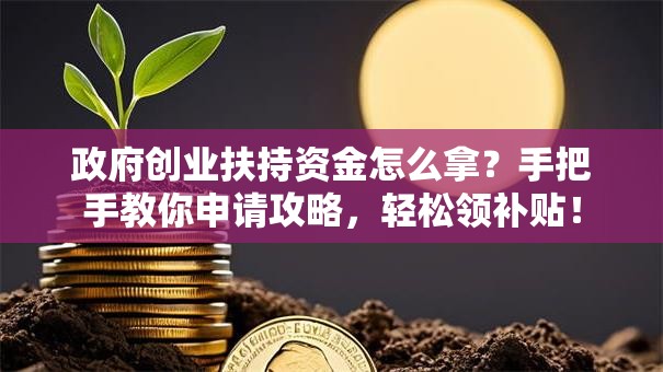 政府创业扶持资金怎么拿？手把手教你申请攻略，轻松领补贴！