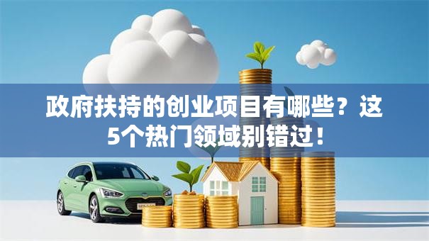 政府扶持的创业项目有哪些？这5个热门领域别错过！