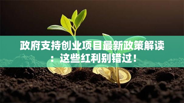 政府支持创业项目最新政策解读：这些红利别错过！