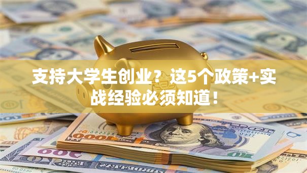 支持大学生创业？这5个政策+实战经验必须知道！