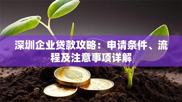 深圳企业贷款攻略：申请条件、流程及注意事项详解