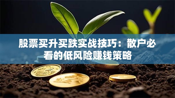 股票买升买跌实战技巧：散户必看的低风险赚钱策略