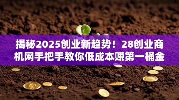揭秘2025创业新趋势！28创业商机网手把手教你低成本赚第一桶金