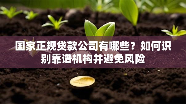 国家正规贷款公司有哪些？如何识别靠谱机构并避免风险