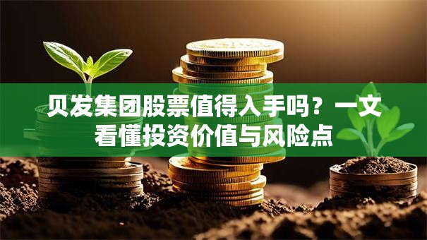 贝发集团股票值得入手吗？一文看懂投资价值与风险点