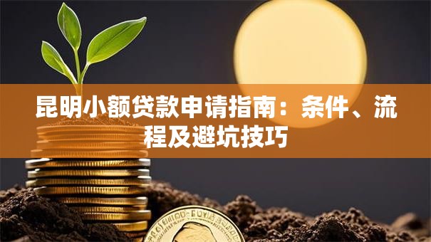 昆明小额贷款申请指南：条件、流程及避坑技巧