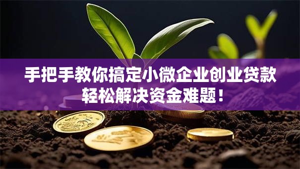 手把手教你搞定小微企业创业贷款 轻松解决资金难题！