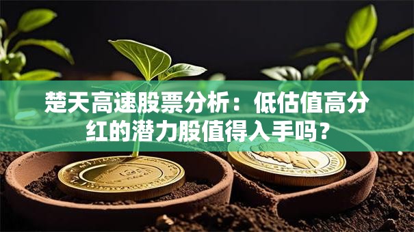 楚天高速股票分析：低估值高分红的潜力股值得入手吗？