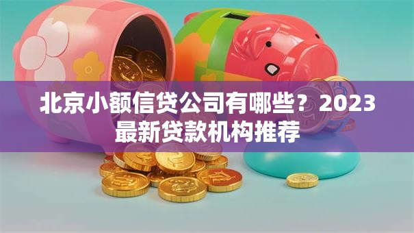 北京小额信贷公司有哪些？2023最新贷款机构推荐