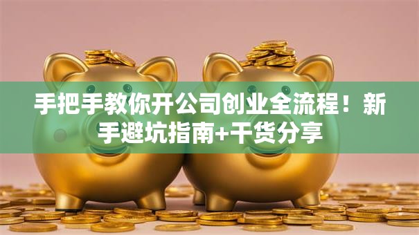 手把手教你开公司创业全流程！新手避坑指南+干货分享