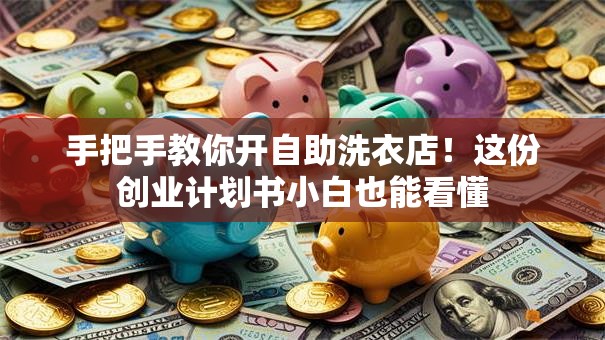 手把手教你开自助洗衣店！这份创业计划书小白也能看懂